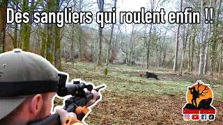 Miniature : BATTUE AUX SANGLIERS - Une fin de saison avec toujours autant d'action !!! 4K