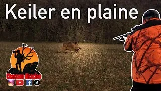 Miniature : DES BATTUES TOUJOURS RICHES EN SANGLIER !!