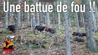 Miniature : UNE CHASSE AUX SANGLIERS DE FOU !! 4K
