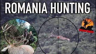 Miniature : CHASSE AUX CERFS DANS LES CARPATES - CARPATHIAN HUNTING 2025