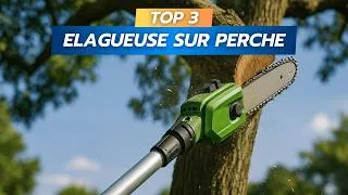 Miniature : TOP 3 - MEILLEURES ELAGUEUSES SUR PERCHE 2025 - COMPARATIF & AVIS : RYOBI, EINHELL, BOSCH