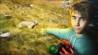 Miniature : À la recherche d'une marmotte (je prends ça beaucoup trop au sérieux)