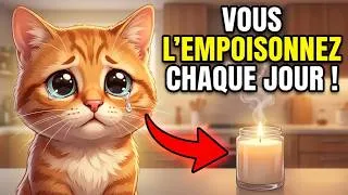 Miniature : 7 odeurs qui nuisent gravement à la santé de votre chat.