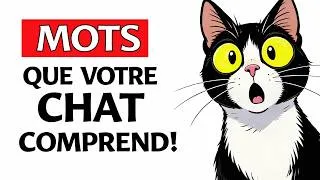 Miniature : 7 mots que votre chat comprend vraiment (la science va vous surprendre)