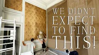 Miniature : An extraordinary discovery revealed!