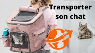 Miniature : Tuto : Comment transporter son chat ! (Chez le vétérinaire, ou en vacances)