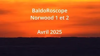 Miniature : Norwood 1 et 2 - Votre BaldOroscope d'Avril 2025 Apporte des Surprises MAGIQUES !
