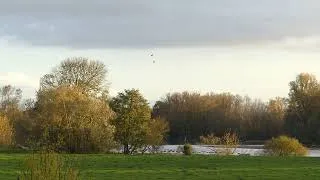 Miniature : Les grues du chateau de Meauce. (2 novembre 2025)