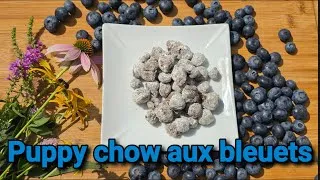 Miniature : Puppy chow aux bleuets