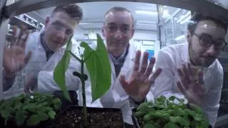 Miniature : Le labo du futur - BAYER