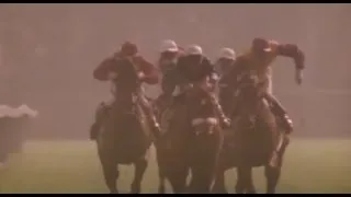Miniature : Le signe du cheval - Les courses