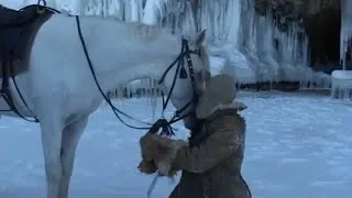 Miniature : Le Cheval Artiste - Il était une fois en Sibérie