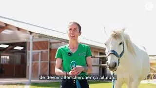 Miniature : Découvrez avec nous le barn des Écuries de Chaume !