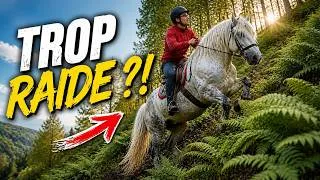 Miniature : Survivre aux pentes de Perseigne : comment ma percheronne gère la fougère !#rando #percheron #cheval