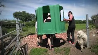 Miniature : L'installation des râteliers