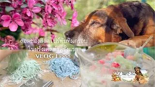 Miniature : Vlog #4k EP 55 รอดมั้ย ลอดช่องสิงคโปร์ทับทิมกรอบครั้งแรก กับ lifestye ธรรมชาติรอบตัวและน้องหมา
