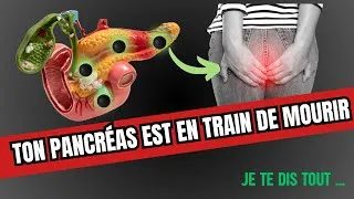 Miniature : Signes avant-coureurs du cancer du pancréas