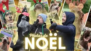 Miniature : ÇA LES A RENDU FOUS ! 🤯