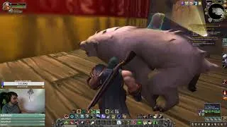 Miniature : WoW FR : Soluce de la mascotte secrète Felicia !