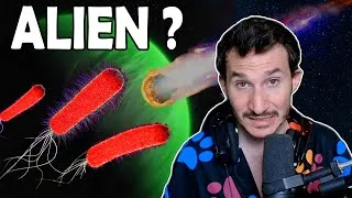 Miniature : Vous Êtes (Peut-Être) Un Extra-Terrestre - Panspermie, Fin De Partie
