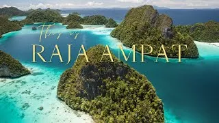 Miniature : RAJA AMPAT - The Amazon of the ocean (Indonesia hidden gem)