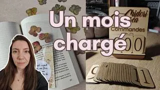 Miniature : Un mois de challenge Instagram - vlog