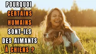 Miniature : POURQUOI CERTAINS HUMAINS SONT-ILS DES AIMANTS À CHIENS ?
