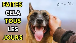 Miniature : 12 MANIÈRES SCIENTIFIQUES DE FAIRE EN SORTE QUE VOTRE CHIEN VOUS AIME ENCORE PLUS