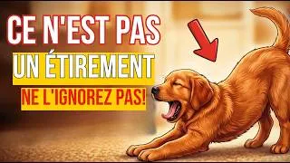 Miniature : Si Votre Chien S'Étire Quand Il Vous Voit, Voici Ce Qu'il Vous Dit Vraiment