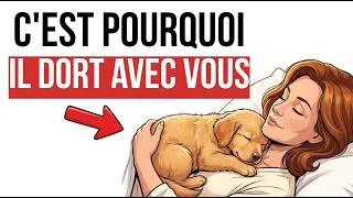 Miniature : Si Vous Avez Plus De 50 Ans Et Que Votre Chien Dort Avec Vous, Voici Ce Qui Se Passe Vraiment