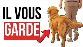 Miniature : Si Votre Chien Vous Suit Partout, Voici Ce Qu'il Essaie Vraiment De Vous Dire