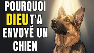 Miniature : Pourquoi DIEU a Mis un Chien Dans Ta Vie - Tu Vas Pleurer