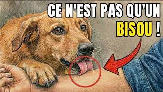 Miniature : N'IGNOREZ PAS Si Votre Chien VOUS LÈCHE ! Voici ce que cela signifie