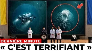 Miniature : Des images de la fosse des Mariannes montrent une créature vivante à 36 000 pieds — impossible !