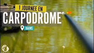 Miniature : 1 journée en CARPODROME - Détente, Stratégie & Astuce