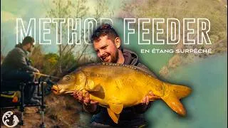Miniature : Carp Method Feeder : Etang surpêché, sortir sont épingle du jeu