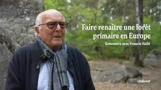 Miniature : Créer une forêt primaire en Europe : le projet de Francis Hallé.