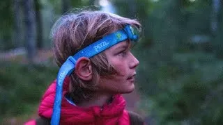 Miniature : Aller écouter le brame du cerf : une aventure père-fils en pleine forêt 🦌