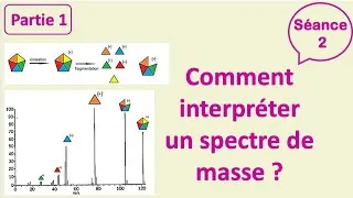 Miniature : spectrométrie de masse 2 | partie 1 : comment interpréter le spectre de masse