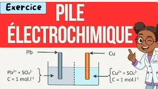 Miniature : Pile électrochimique : exercice corrigé + pôles (+/–) expliqués