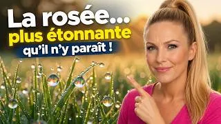 Miniature : 💧La rosée un phénomène plus étonnant qu'i n'y paraît. #rosée #mystères de notre monde #chimiechelou