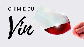 Miniature : La chimie du vin révélée, ou ce que personne ne vous a jamais dit sur sa composition...