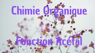 Miniature : Chimie Organique: Formation des acétals