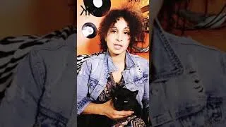 Miniature : Torturer les animaux sauvages, en France c'est légal !