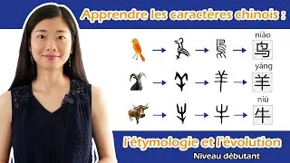 Miniature : Mémoriser rapidement les caractères chinois #3 : 鸟 羊 牛 en apprenant leur étymologie et évolution