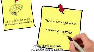 Miniature : Comment votre cerveau perçoit l'environnement
