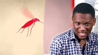Miniature : SI ON ÉLIMINE TOUS LES MOUSTIQUES DE LA PLANÈTE, QU'EST-CE QUI SE PASSERA?  ( REACTION )