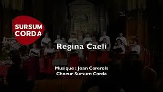 Miniature : Regina Caeli - Joan Cererols - [Sursum Corda]