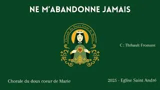 Miniature : Ne m'abandonne jamais - Thibault Fromant - CDCM