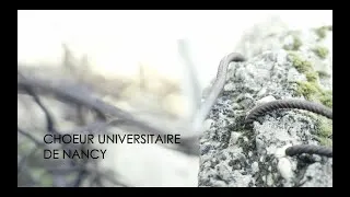 Miniature : Radioactive - Imagine Dragons - Cover by Chœur Universitaire de Nancy